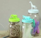 animal jars