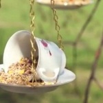 tea-cup-bird-feeder