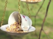 tea-cup-bird-feeder